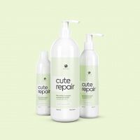 Восстанавливающая линия