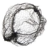 DEWAL, CE100 Сеточка для прически, черная 2 шт/уп